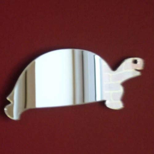Sendmeamirror Tortoise Mirror 40cm x 30cm