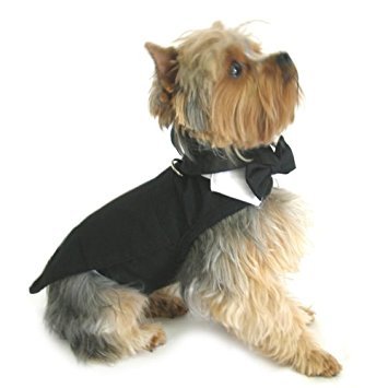 Dog Tuxedo w/ Formal Tails- Black, Medium (Chest 16-19")