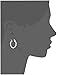 Amazon Collection Sterling Silver Twist Hoop Earrings