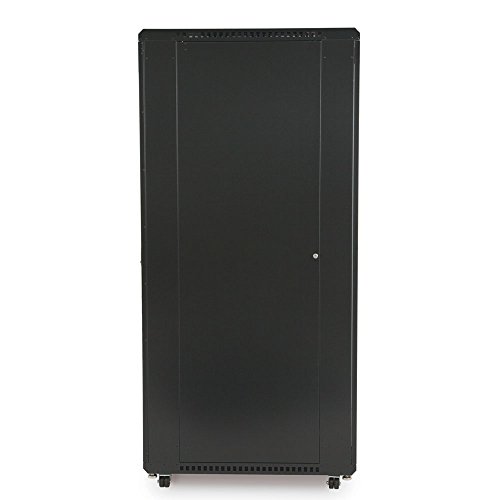 42U LINIER Server Cabinet - Vented/Vented Doors - 36" Depth