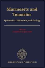 Marmosets And Tamarins Systematics Behaviour And