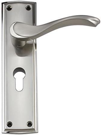 Ardeche Design Lever Handle on Euro Profile Backplate - Satin/Polished Nickel by Darcel