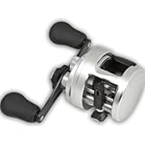 Shimano Calcutta D Reels