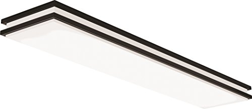Lithonia Lighting FMFL 30840 SATL BZ LED Linear Light, Bronze, 4′