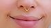 Septum Ring Triangle Gold Silver Rose Piercing Nose 18g