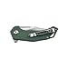 Firebird GANZO FH61-GB Pocket Folding Knife Razor Sharp D2 Steel Blade Ergonomic G10 Anti-Slip Handle with Clip Hunting Fishing Camping Gear Outdoor Folder EDC Pocket Knife (Green)