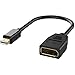 Rankie Mini DisplayPort to DisplayPort Adapter, 4K Resolution Converter, Black primary