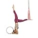Bundle - 2 Items: Yoga Trapeze Baby Pink & Yoga Wonder Wheel Baby Pink [Bundle] - By YOGABODY - with 2 Free DVD