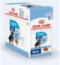 royal canin shn maxi puppy