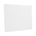 US Art Supply 9 X 12 inch Professional Artist Quality Acid Free Canvas Panels 4 - 12-Packs (1 Full Case of 48 Single Canvas Panels)