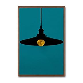 signwin Framed Canvas Wall Art Animals, Flowers, Birds...