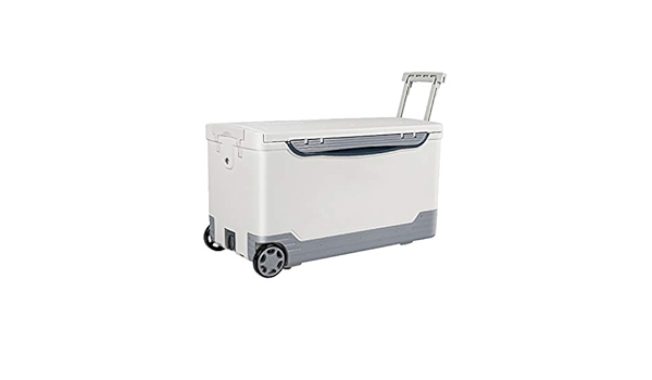 BYDBNR Caja De Pesca, Mar Pesca Caja Incubadora Nevera Caja ...