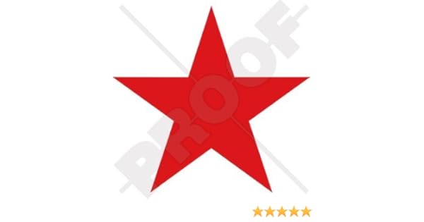 RUSIA Fuerza Aérea Rusa USSR Soviético WWII Estrella Roja Avión ...