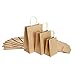 GSSUSA 150PCS Brown Paper Bags with Handles Gift Bags Assorted Sizes,5x3x8& 8x4.25x10& 10x5x13 50 Pcs Each,Kraft Paper Bags with Handles Bulk Gift Bags for Small Business,Merchandise Bags,Craft Bags