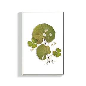 Canvas Wall Art for Living Room, Bedroom Leaves Framed Canvas Prints for Home Decoration Ready to Hang - 16x24 inches