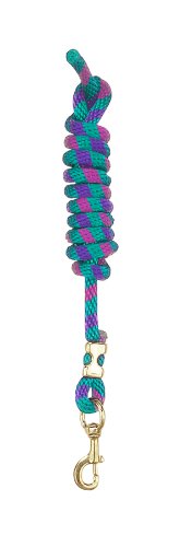 Perri's Poly Nylon Lead with Snap, Purple/Rasp/Teal, 8-Feet