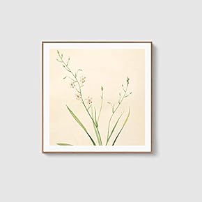 Framed Canvas Home Artwork Decoration Beautiful Flower Canvas Wall Art for Living Room, Bedroom - 16x16 inches