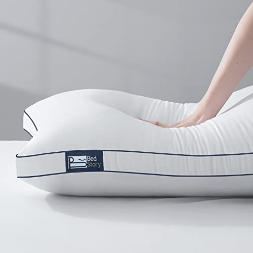 BedStory 2 Pack Standard Size Pillows Luxury Hotel Collection Bed