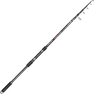Garbolino Canne Telescopique Wild Pike Exceed – Nc, 300, 5, Nc, 20-60