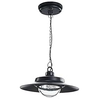 Nature Power 21030 Hanging Solar Powered LED Shed Light with Remote Control, Black Finish