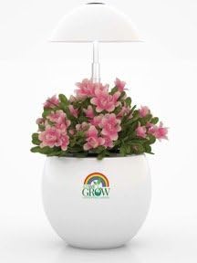 123WeGrow Hydroponic Indoor Garden System, LED Lights, Automatic, Grow Herbs, Grow Vegetables (Rainbow)