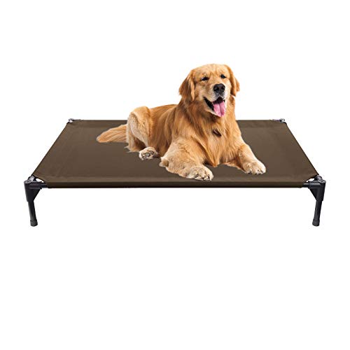 cot style dog beds