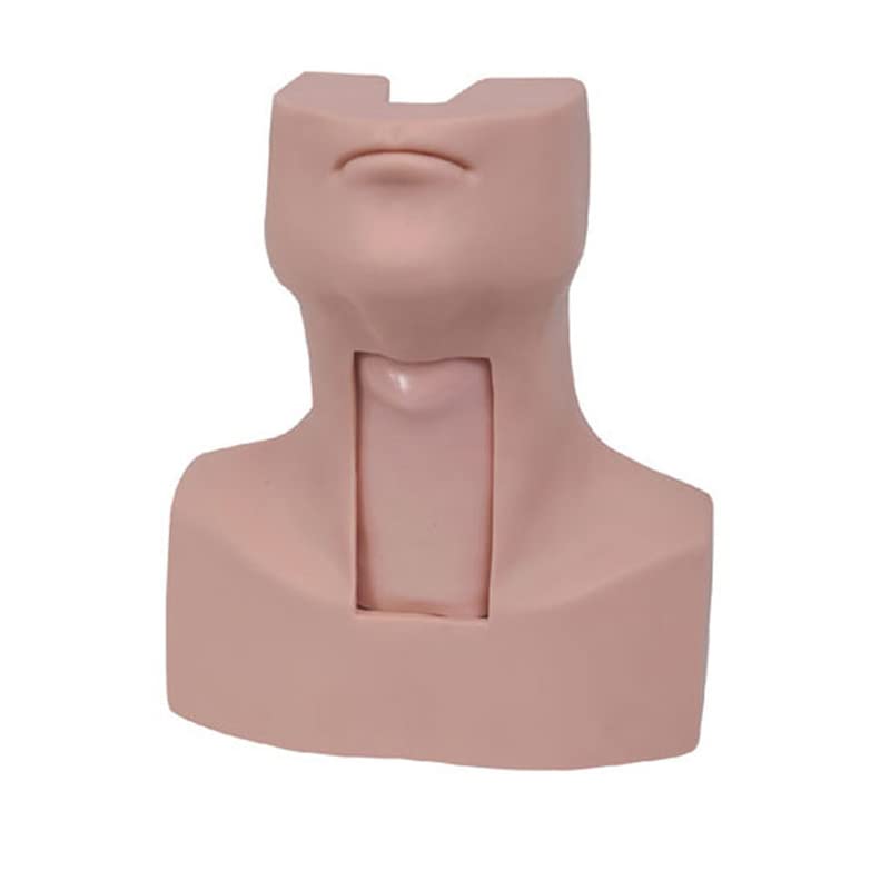 DARHMMY Tracheostomy And Intubation Training Model, Cricothyrotomy, Tracheotomy Care Training