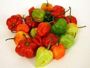 Scotch Bonnet Peppers 1kg Amazon Co Uk Grocery