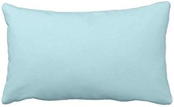 Powder Light Aqua Blue Solid Color Background Custom Soft Pillowcase Zippered Pillow Case-16"x24" (Twin Sides)