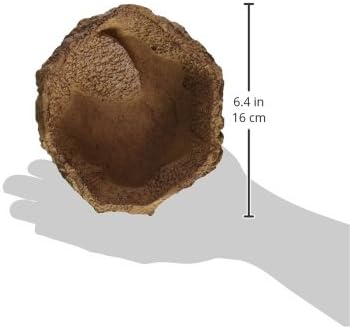 JBL JBL ReptilBar SAND L - Image 5