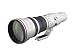 Canon EF 800mm f/5.6L IS USM Super Telephoto Lens for Canon Digital SLR Cameras (Renewed)