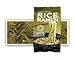 Lotus Foods -Gluten Free Rice Ramen Variety Pouch 6 Pack - [Forbidden Rice, Jade Pearl Rice , Millet & Brown Rice ]