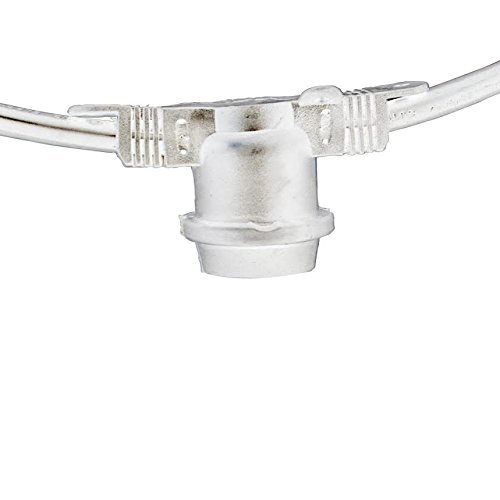 String Light Company Savannah Series 300-Ft Commercial String Lights with 240 Light Sockets