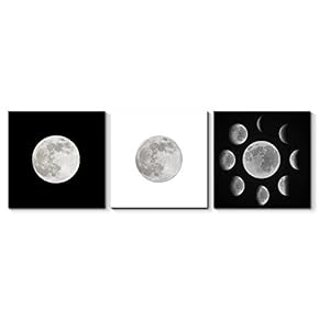 Canvas Wall Art Beautiful Moon Painting Artwork for Home Prints Framed - 12"x12"x3 Panels