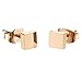D.B.MOOD Square Stud Earrings Rose Gold Plated Stainless Steel Earring for Women Rose gold