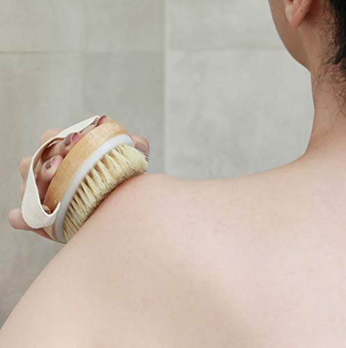 Algopix Similar Product 2 - 6 Pcs Premium Boar Bristle Shower Brush