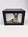 Pet Urn Peaceful Pet Memorial Keepsake Urn,Photo Box Pet Cremation Urn,Dog Urn,Cat Urn,Small Animal Urn, Size,Large, Color,Cherry, 75 cu.in