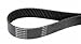 Continental 4081261 Serpentine Belt , black