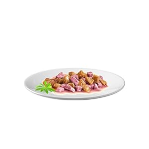 PURINA GOURMET GOLD Umido Gatto Dadini in Salsa con Salmone e Pollo - 24 lattine da 85g ciascuna (confezione da 24x85g)