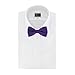 Platinum Hanger Mens Classic Pre-Tied Satin Formal Tuxedo Bowtie Adjustable Length Large Variety Colors Available (Purple)