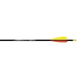 Easton Game Getter XX75 Factory 4-Inch Vanes (6-Pack), Multi, 500