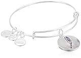 Alex and Ani Art Infusion Feather Expandable Rafaelian Shiny Silver Bangle Bracelet