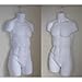 Male Torso Body Mannequin Form (Hips Long) - Great For Small And Medium Sizes - White