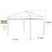 Blissun 10 x 10 Ft Outdoor Portable Instant Pop-Up Canopy Tent with Roller Bag (Tan)