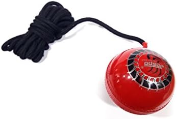 cricket knocking ball