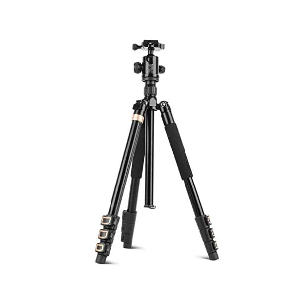XYSQWZ Aluminium Telefonhalter Mädchen Live Broadcast Fotografie DSLR Kamera Stativ - Family Dinner Kamera Telefonhalter…