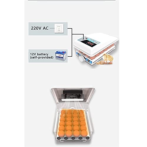 FHISD Brutkästen für Bruteier Brutkästen für Wachteleier Eierbrutkasten LED Candler Ente Geflügel zum Schlüpfen von… – Bild 4