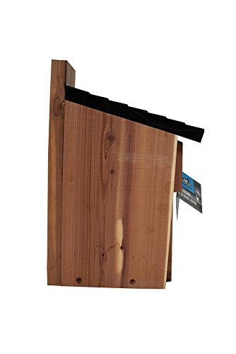 Homestead Essentials Cedar Bluebird House - Thumbnail 5