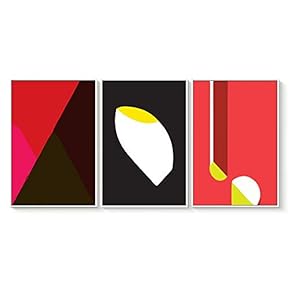 3 Piece Floating Framed Canvas Wall Art for Living Room, Bedroom The Geometry Canvas Prints for Home Decoration Ready to Hang - 16"x24"x3 Panels