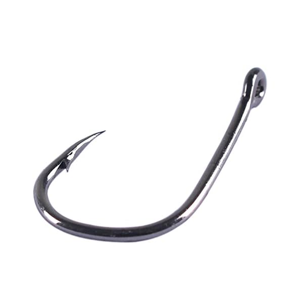 Anmuka-1600pcs-High-Carbon-Steel-Fishing-Hooks-with-10-sizes